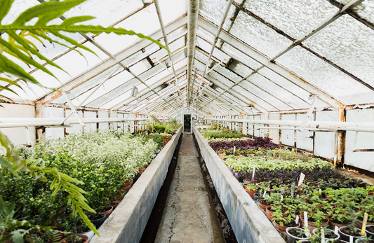 How to build your own greenhouse?