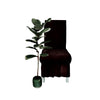 Zebra Chair Cover - Brown